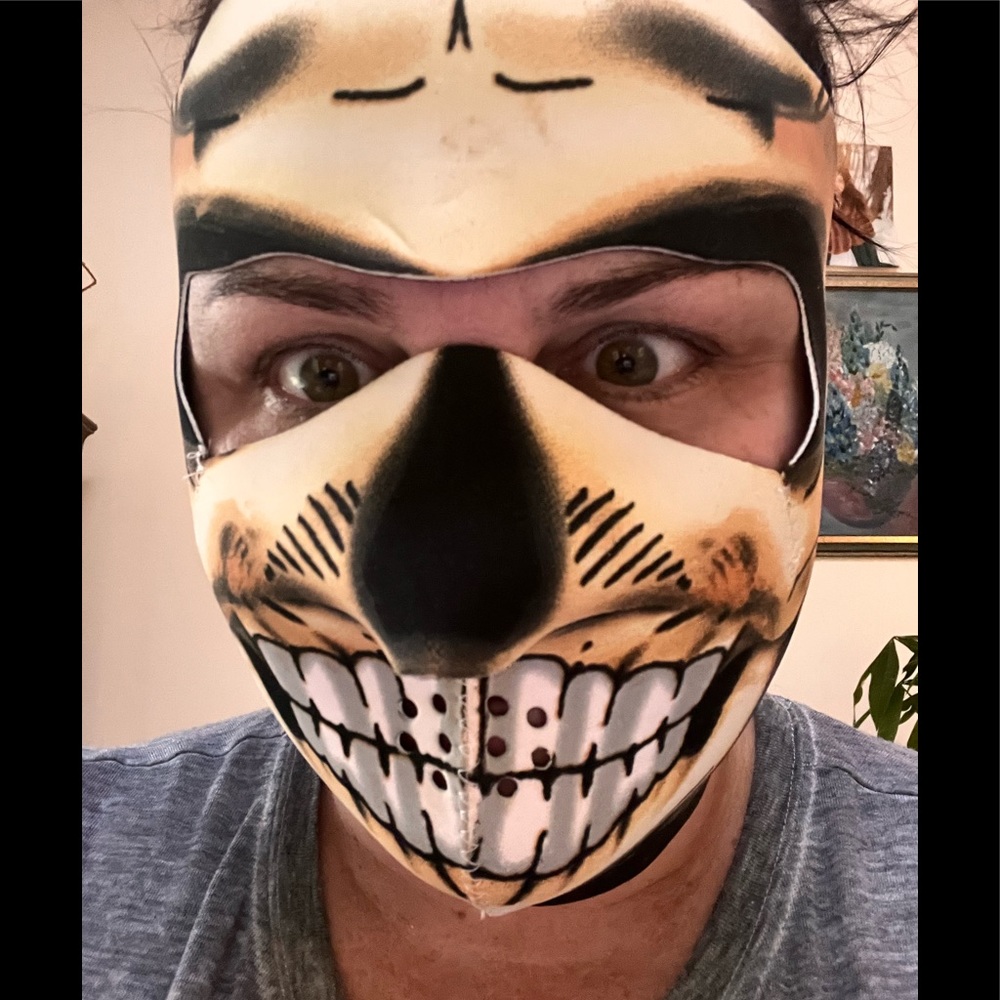 CSI skeleton scary mask one size fits‎ most